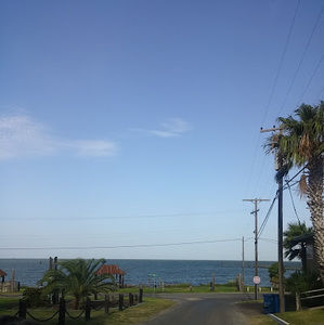 Meet your Posher, Jacqueline